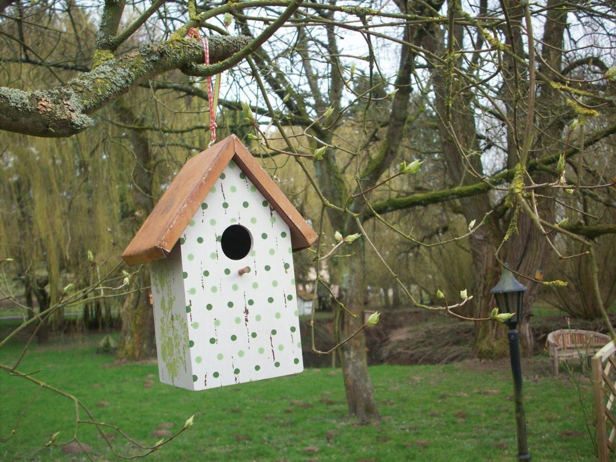 Moulin De Moxhe Micro Gite Et Gite - Bed & Dreams Zewnętrze zdjęcie
